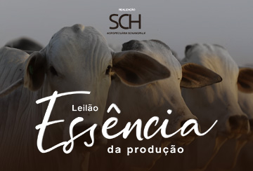 LEILÃO ESSÊNCIA DA PRODUÇÃO NELORE SCHANGRI-LÁ